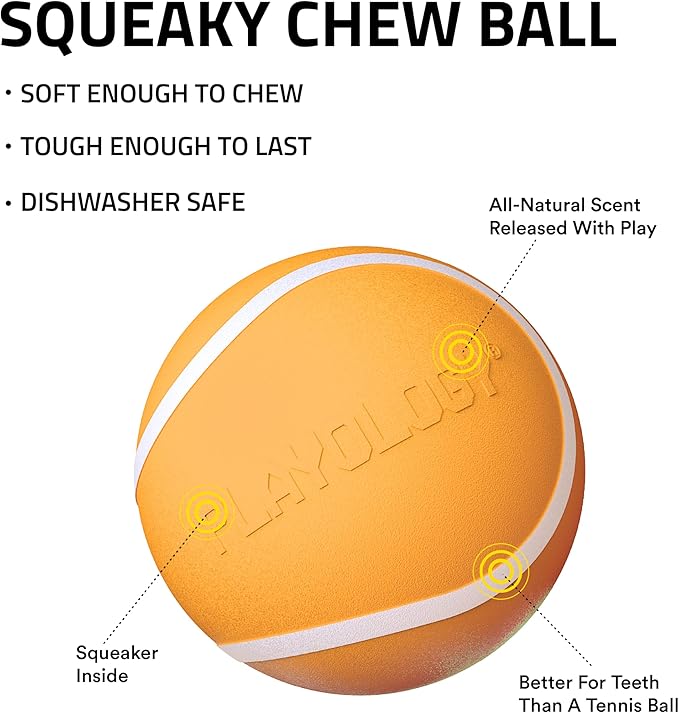 Playology Dog Toys | Squeaky Chew Ball - Bouncy Durable Floating Fetch Ball for Dogs | Medium Cheddar Cheese Scented Toy - Easy to Clean and Made from Non Toxic Materials