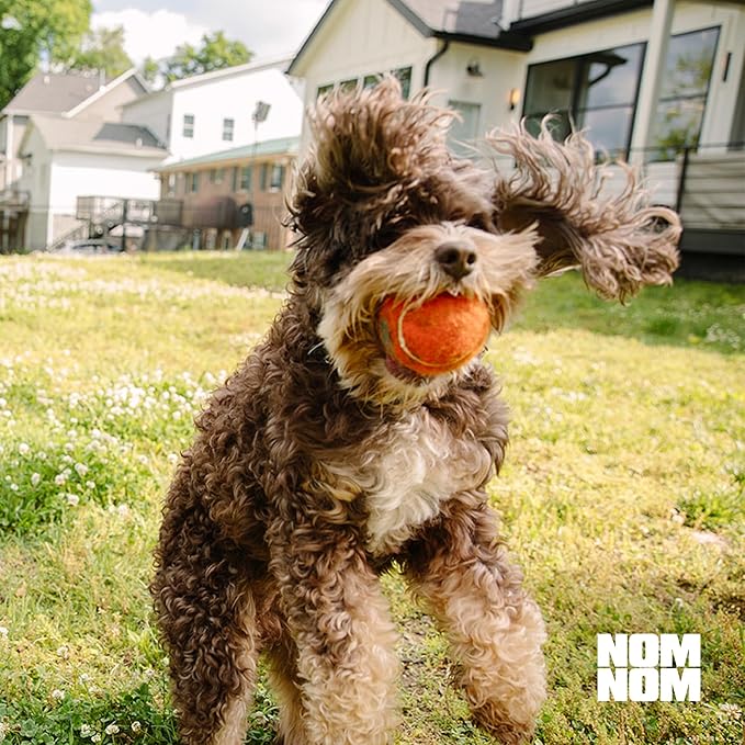 Nom Nom Dog Full Spectrum Probiotic Support Prebiotic Fiber and Inulin Powder Blend - Probiotic for Digestive, Immune, and Dog Allergy Health Preferences