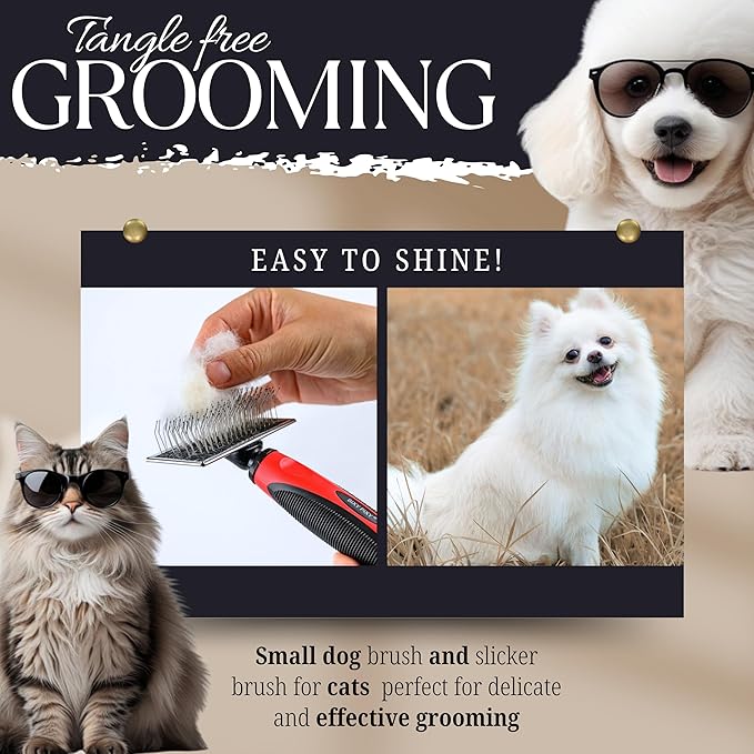 Mini Brush for Dogs and Cats - Coated Tips Massage Skin - Long Pins Remove Mats, Tangles in Long and Poodle Fur