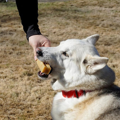 Authentic Himalayan Yak Cheese for Dogs - XLarge (Pack of 2) - Sourced from Pristine Himalayan Foothill, Rawhide-Free, NO preservatives