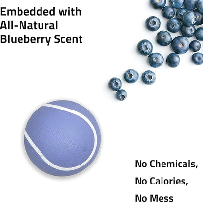 Playology Dog Toys | Squeaky Chew Ball - Bouncy Durable Floating Fetch Ball for Dogs, Value 3-Pack | Small Blueberry Scented Toy - Easy to Clean and Made from Non Toxic Materials