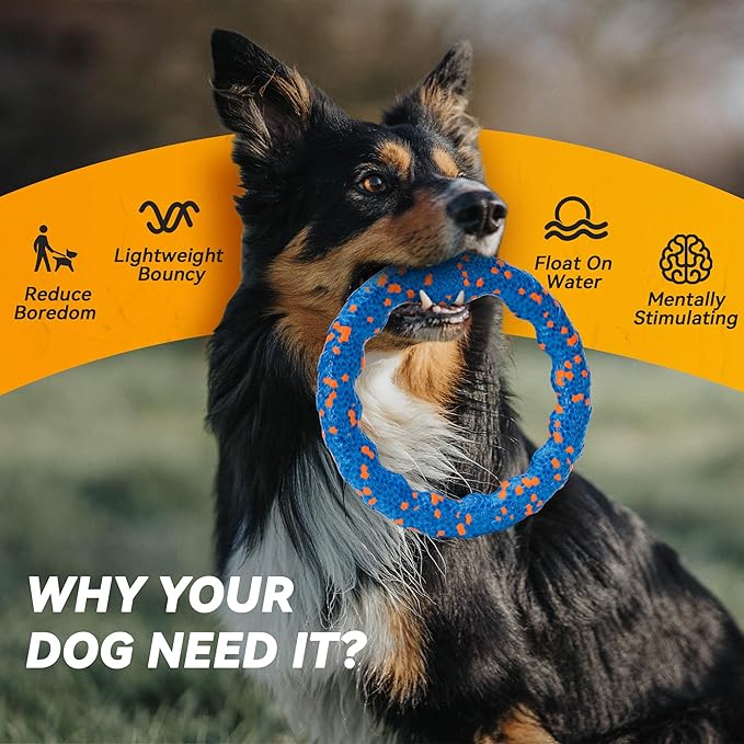 Dog Ring Toy, Indestructible Flying Discs for Throwing Catching, Water Floating Dog Training Ring for Medium Large Breeds (Blue - φ9 inches)