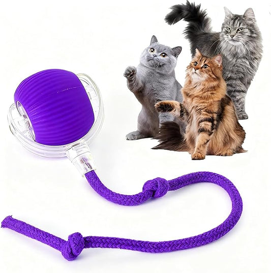 Rocfish Durable Interactive Cat Toys for Indoor Cats, Smart Automatic Cat Chase Ball Toy, Upgraded Speedy Tail Kitten Toy for Bored Indoor Adult Pets (Purple)