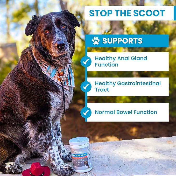 PawMedica Dog Anal Gland Chews to Stop Scoot for Dogs - Anal Gland Dog Constipation Relief - Recommended Dog AnalGland Support Chews Fiber - Fiber Supplement for Dogs (60 Dog Pumpkin Chews)