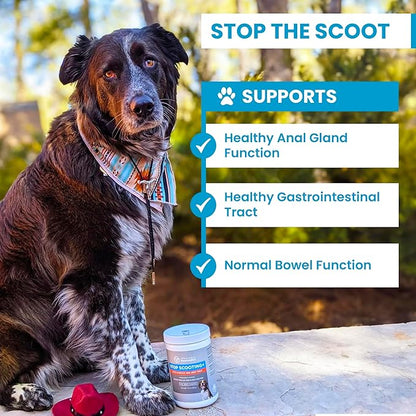 PawMedica Dog Anal Gland Chews to Stop Scoot for Dogs - Anal Gland Dog Constipation Relief - Recommended Dog AnalGland Support Chews Fiber - Fiber Supplement for Dogs (60 Dog Pumpkin Chews)