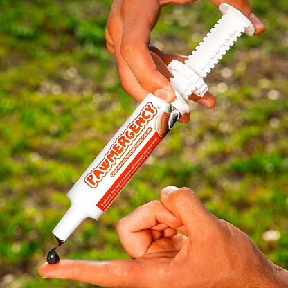 PawMergency – Activated Charcoal First Aid Kit Emergency Rescue for Dogs, Cats, Puppy & Pet Poison Kit, Camping Survival Remedy Essential,Oral Anti Diarrhea Digestive Paste Ready Absorb Toxins (30mL)