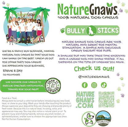 Nature Gnaws Thin Bully Sticks for Dogs 5-6" (8oz) - Mixed Thickness - Long Lasting for Small Dogs and Puppies - Natural Thin Beef Dog Chew Bones - Rawhide Free