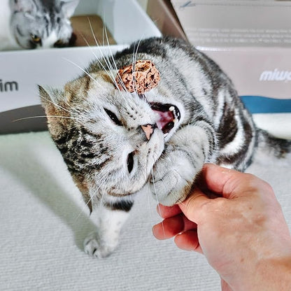 4 PCS Silvervine Stick Cat Toy with Gall Fruit – Natural Lollipop-Shaped Matatabi Chew Toy for Cats – Catnip Alternative for Teeth Cleaning, Anxiety Relief & Interactive Play – 4.8" Cat Dental Toy