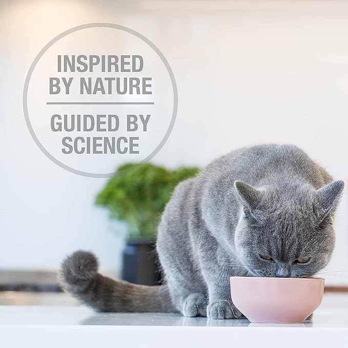 Feline Natural High Protein Dry Cat Food, Freeze-Dried Diet with 98% Meat, Organs & Seafood, No Peas, Grains, or Artificial Additives, Made in New Zealand, Lamb & King Salmon, 3.5oz (Pack of 2)