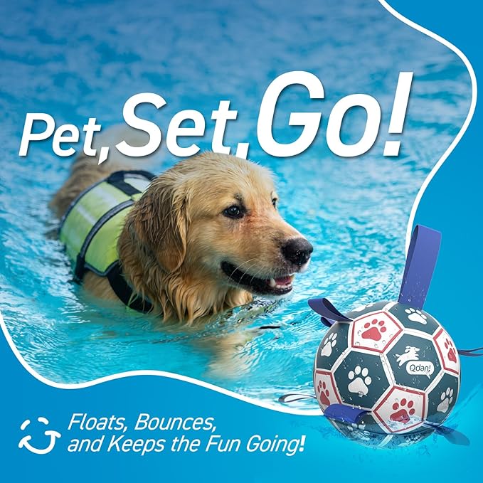 QDAN Large Dog Toys, 8 Inch Durable Balls for Dogs for Outdoor Indoor, Soccer Ball with Straps, Herding Balls, Interactive Toy for Tug of War, Dog Ball to Keep Them Busy (8 Inch)