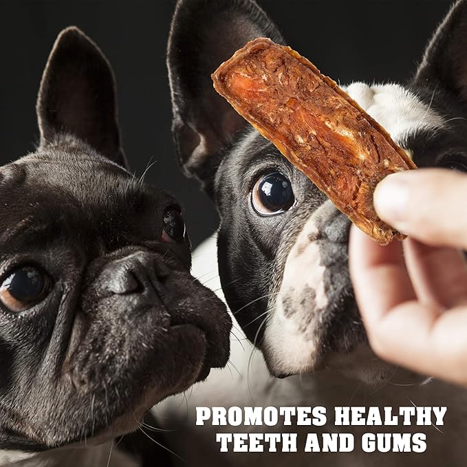 Chicken Jerky Dog Treats Human Grade - High Protein Meat - All Natural High Protein Dried Strips - Best Chews Sweet Potato for Training Small & Large Dogs - Made for USA 24 Oz. (Chicken Fillet)