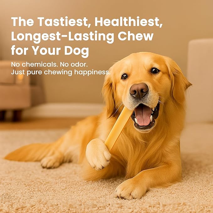 100% Natural Himalayan Yak Cheese for Dogs - XLarge (Pack of 1) - Sourced from Pristine Himalayan Foothill, Rawhide-Free, NO preservatives