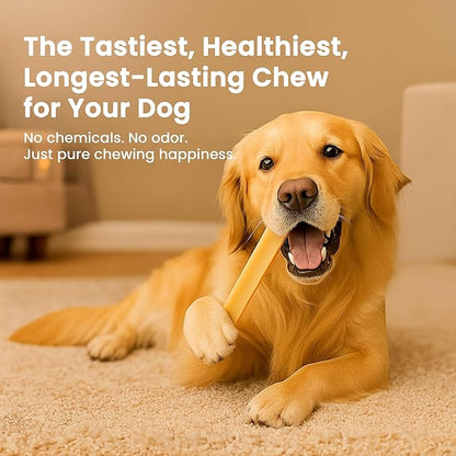 Authentic Himalayan Yak Cheese for Dogs - Jumbo (Pack of 1) - Sourced from Pristine Himalayan Foothill, Rawhide-Free, NO preservatives