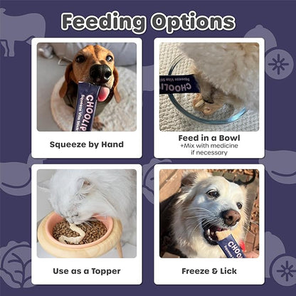 Choolip Squeeze Vita Stick Lickable Cat Treats & Dog Puree – 7-Count Brain Support Tubes, Creamy Grain-Free High-Protein Puree with DHA, Omega 3 & Vitamin B12 for Memory & Cognitive Health