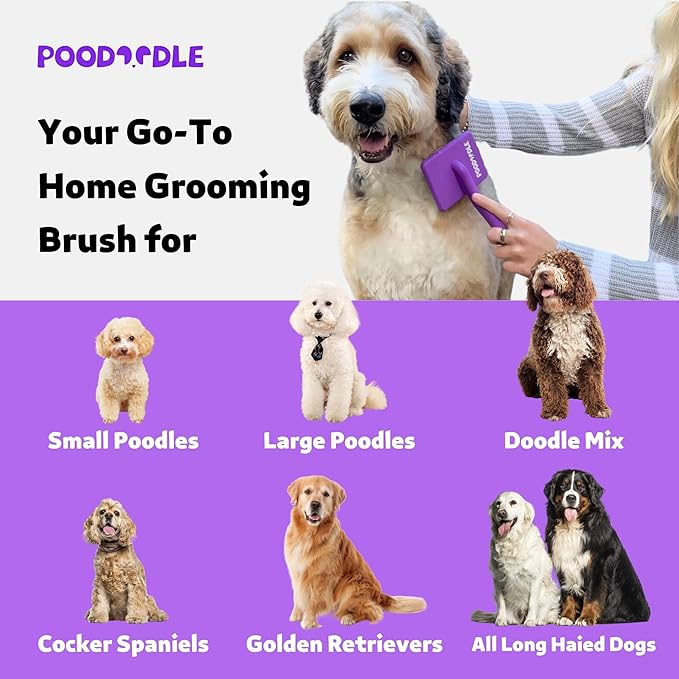Small Slicker Brush, Purple, Hair Brush for Curly Wavy Haired Dogs - Poodles, Doodles, Bichon, Bernese Mountain Dog, Cocka Spaniels - Detangling, Grooming, Deshedding - 1 inch