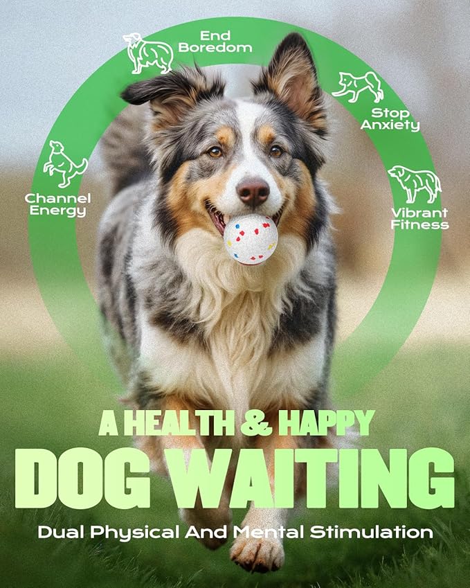 Automatic Dog Ball Launcher, Ball Thrower for Dogs (2.3” ETPU Balls *6)