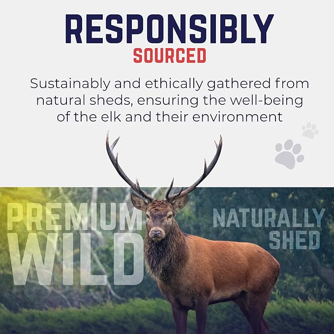 Devil Dog Pet Co. Elk Antlers for Dogs, Small 4"+, 2 Pack, Grade A Long Lasting Chew for Aggressive Chewers, Premium USA Naturally Shed Antler – Healthy, No Odor, Durable Dog Chew