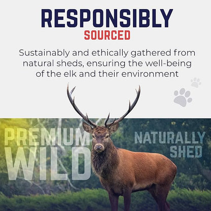 Devil Dog Pet Co. Elk Antlers for Dogs, Small 4"+, 2 Pack, Grade A Long Lasting Chew for Aggressive Chewers, Premium USA Naturally Shed Antler – Healthy, No Odor, Durable Dog Chew