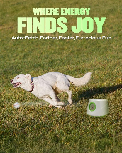 Automatic Dog Ball Launcher, Ball Thrower for Dogs (2.3” ETPU Balls *6)