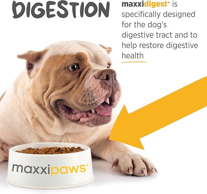maxxipaws maxxidigest+ Prebiotic & Probiotic for Dogs 7oz | Dog Probiotic Powder with Advanced Digestive Enzymes for Gut Health & Immunity | Supports Digestion, Food Sensitivities & Itchy Skin