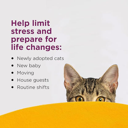 COMFORT ZONE Cat Calming Diffuser Refill, 2 Pack – Cat Calming Pheromone Refills Help Reduce Anxiety, Stress, Scratching, Urine Marking, Aggression, (30-Day Refills, 60-Day Supply)