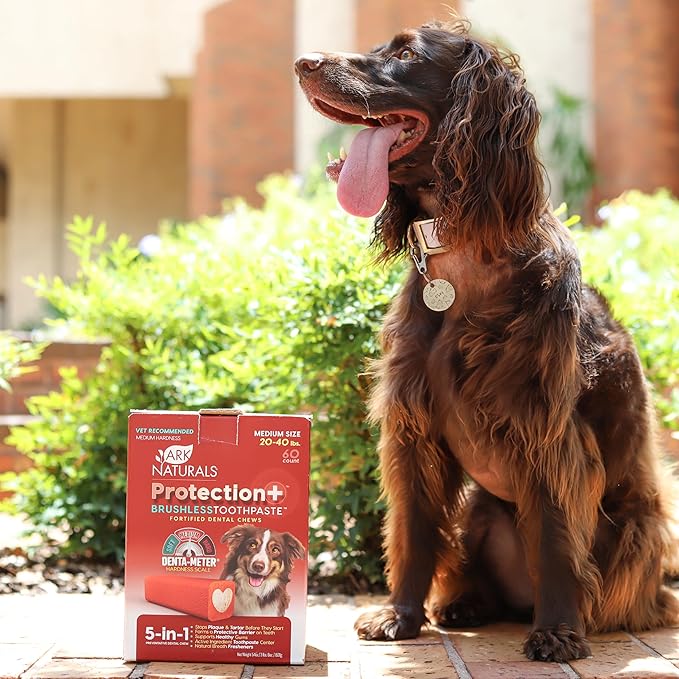 Ark Naturals Protection+ Brushless Toothpaste, Dog Dental Chews for Medium Breeds, Prevents Plaque & Tartar, Freshens Breath, 54oz, 1 Pack, Red