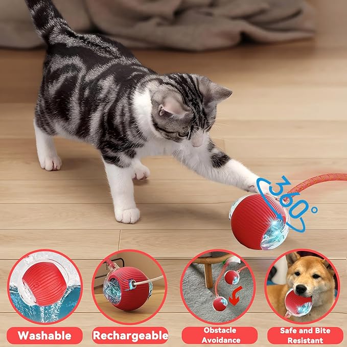 Christmas Stocking Stuffer Speedy 2.0 Tail 2 Packs Interactive Cat Toys for Indoor Cats, Automatic Cat Toy with Elastic Mesh Tail, Electric Rolling Ball on Carpet, Chirping and Motion Activate Cat