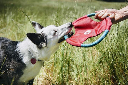 ZippyPaws Rope Gliderz Dog Toy
