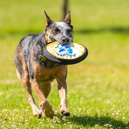 ZooBee Flying Disc Dog Toy – Dog Vision Friendly Colors – Soft & Durable Frisbee for Outdoor Play, Water Fetch & Pool Fun – Safe on Teeth – Floating Dog Toy – Lightweight & Easy to Throw