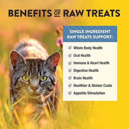 Northwest Naturals Raw Rewards Freeze-Dried Whitefish Treats for Dogs and Cats - Bite-Sized Pieces - Healthy, 1 Ingredient, Human Grade Pet Food, All Natural, Proudly Made in USA, 10 Oz (Pack of 3)