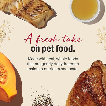 The Honest Kitchen Human Grade Dehydrated Gourmet Grains Turkey & White Fish Dog Food, 4 lb Box