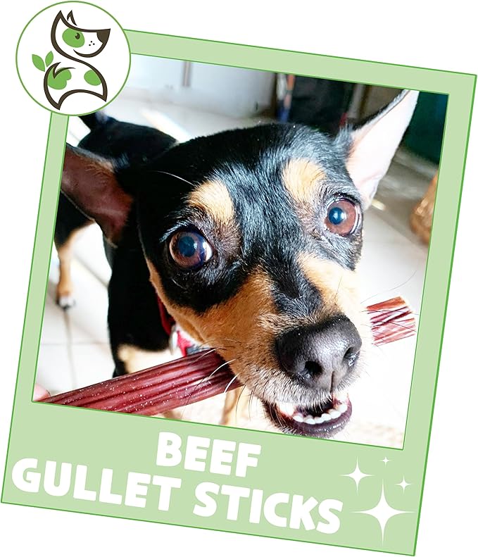 Nature Gnaws Beef Gullet Sticks for Dogs 5-6" (1Lb) - Natural Beef Jerky Stick Dog Chew Treats - Rawhide Free