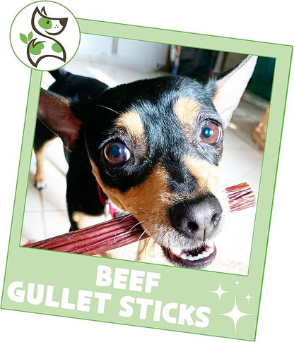 Nature Gnaws Beef Gullet Sticks for Dogs 5-6" (1Lb) - Natural Beef Jerky Stick Dog Chew Treats - Rawhide Free