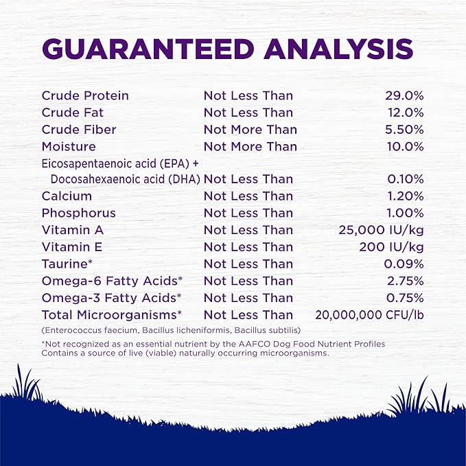 Wellness Natural Pet Food Complete Health Natural Dry Large Breed Puppy Food, Chicken, Salmon & Rice, 30-Pound Bag