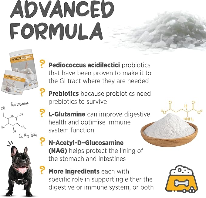 maxxipaws maxxidigest+ Prebiotic & Probiotic for Dogs 7oz | Dog Probiotic Powder with Advanced Digestive Enzymes for Gut Health & Immunity | Supports Digestion, Food Sensitivities & Itchy Skin