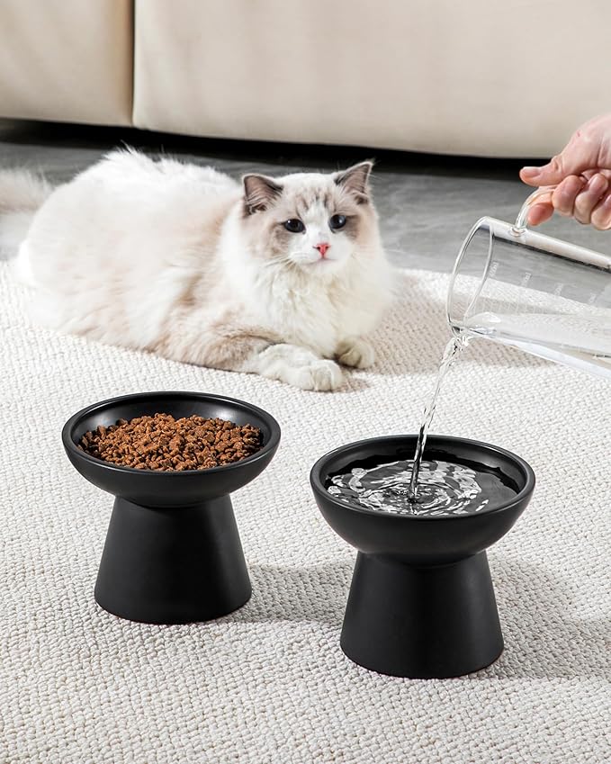 vancasso Ceramic Elevated Cat Bowls 2-Pack - 6.2" Extra Wide Raised Cat Food & Water Dishes, 5.1" Optimal Height Anti-Whisker Fatigue Shallow Bowls for Cats/Kittens/Dogs, Lead & Cadmium Free (Black)