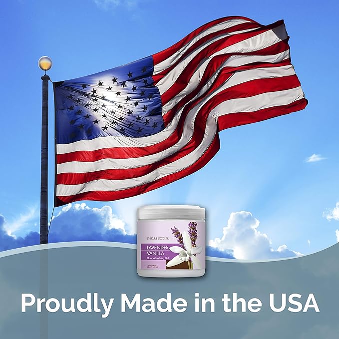 SMELLS BEGONE Air Freshener Odor Absorber Gel - 15 oz, Pack of 2 - Absorbs and Eliminates Odor in Pet Areas, Bathrooms, Cars, & Boats - Made with Essential Oils - Lavender Vanilla Scent