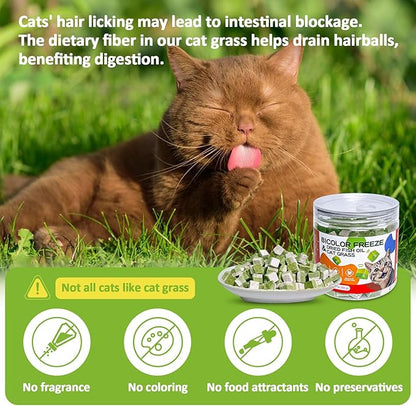 Freeze-Dried Cat Grass Treats with Omega-3 Fish Oil Blend - Hairball Control, Skin & Coat Health for Cats (Chicken & Fish Oil, 1.76 oz)