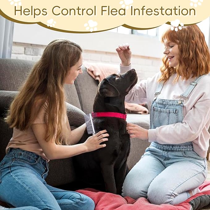 Double Row Pet Comb with Wooden Handle, Metal Pin Undercoat Rake for Dogs & Cats, Grooming Tool for Detangling, Deshedding & Massage