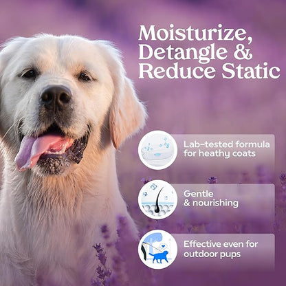 Paw Fume Dog Detangler Grooming Spray, Royal Lavender, 2-Pack – Keeps Pups Fresh All Day – Hypoallergenic, Alcohol-Free, Detangling & Moisturizing – Salon-Quality Dog Necessities for Coat & Fur Care