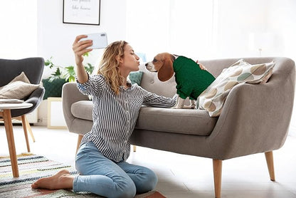 Dog Sweater Turtleneck Knitted Pet Clothes Solid Color Puppy Sweater Warm Dog Sweaters for Small Dogs(Green&XS)