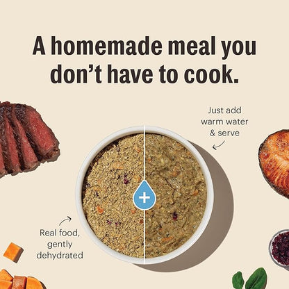 The Honest Kitchen Human Grade Wholemade™ Dehydrated Grain Free Chicken Dog Food, 1.5 oz x10