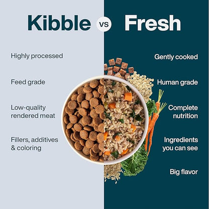 JustFoodForDogs JustFresh Wet Dog Food, Fresh Pet Meals and Toppers with No Preservatives, Resealable Package, Human Grade, Home-Cooked Beef, 12 oz - 7 Pack