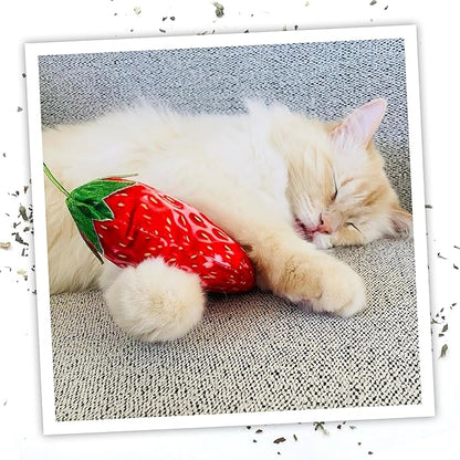 Meowijuana Strawberry Bundle | Get Sprung Refillable Strawberry Toy and Happy Grass Catnip Blend | Promotes Play and Cat Health | Includes North American Organic Catnip