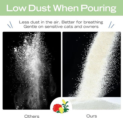 Natural Cat Litter Green Tea Scent, Plant-Based, Strong Clumping Litter, Odor Control, Easy Scooping, Clumps Lift Cleanly, Low Dust, Corn & Cassava Litter, 16.5 LB (5.5 LB x 3 Bags)