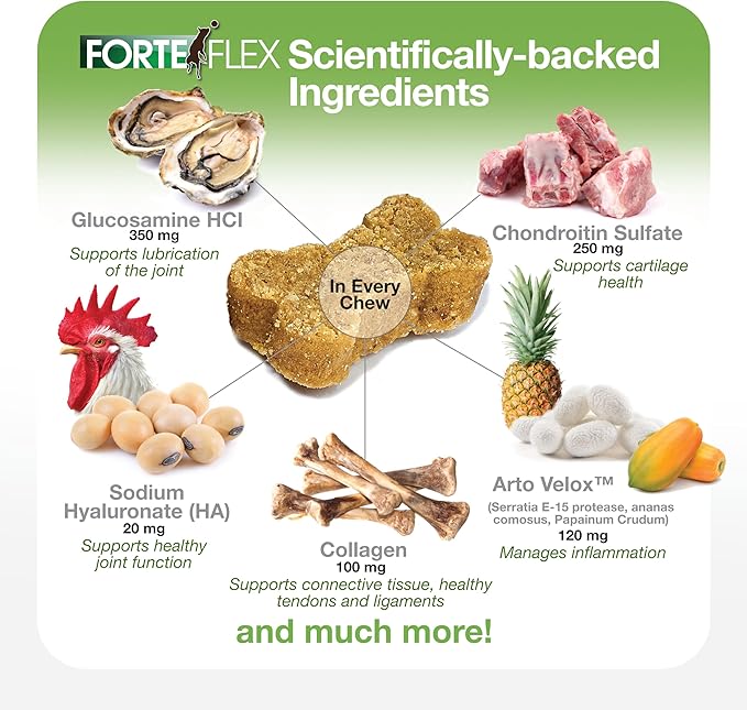 K9 Joint & Hip Supplement for Dogs – Hip Dysplasia, Joint Stiffness, Anti-Inflammatory & Mobility Support – Serrapeptase, Glucosamine, Chondroitin, Collagen & HA for Senior & Active Dogs