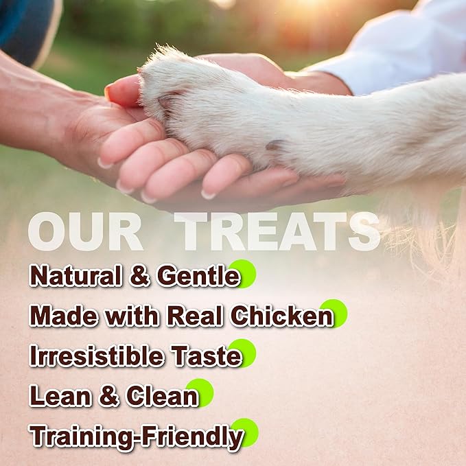 Afreschi Chicken Dog Treats, All Natural, Healthy & Easily Digestible, Grain-Free Puppy Chews, Low-Fat, Human Grade Training & Rewards Dog Snacks, Rice Bone, 16 oz Pack