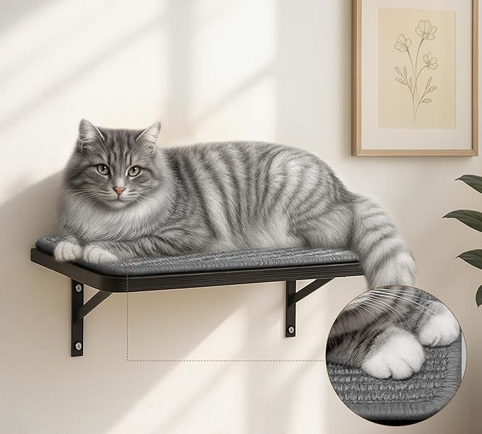 Cat Wall Shelves Set of 2, Black Solid Wood Cat Lounging Shelf with Grey Sisal Cushion, Wall-Mounted Space-Saving Climbing Shelf, Window Perch for Kittens & Cats, Black Furniture for Indoor