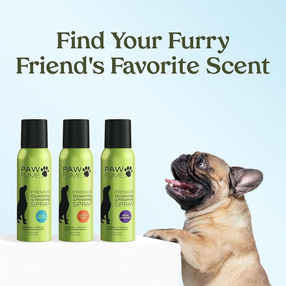 PAWFUME Dog Perfume Spray for Grooming, Blue Ribbon, 1-Pack – Keep Your Pup Fresh All Day – Probiotic, Alcohol-Free, Detangling & Moisturizing – Salon-Quality Dog Spray Deodorizer Perfume