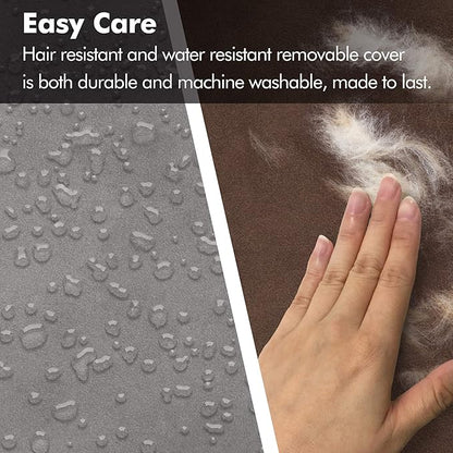 Friends Forever Small Dog Bed, Orthopedic Sofa Memory Foam Mattress, Calming Couch, Wall Rim Pillow, Water Resistant Liner, Washable Cover, Non-Slip Bottom, Chester, Small Khaki Beige